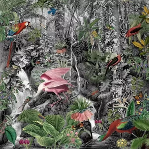 La cascade - spatule rosée