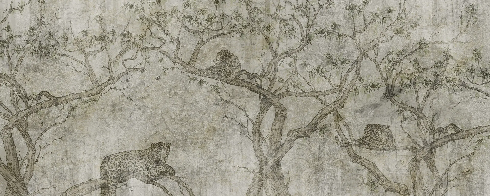 Arbres aux panthères – Image 3